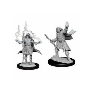 Pathfinder Deepcuts: Elf Sorcerer Male  (90262)