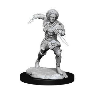 Magic the Gathering Unpainted Miniatures: Kaya (90275)