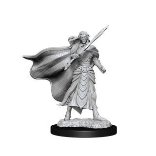 Magic the Gathering Unpainted Miniatures: Elf Fighter & Elf Cleric (90279)