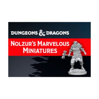 D&D Nolzur's Marvelous Minis Wave 14 Quick-Pick (90296)