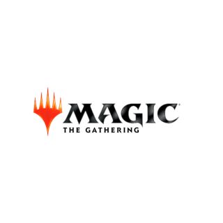 Magic the Gathering Minis Wave 14: Retail Reorder Cards (90300)