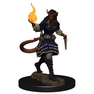 D&D Nolzur's Marvelous Miniatures: Tiefling Sorcerer Female (90304)