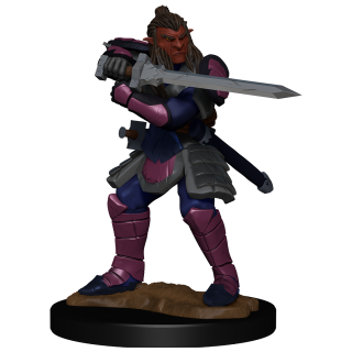 D&D Nolzur's Marvelous Miniatures: Hobgoblin Fighter Male & Hobgoblin Wizard Female (90310)