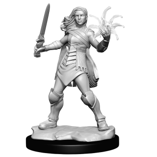 Magic: The Gathering Unpainted Miniatures: Rowan Kenrith & Will Kenrith (90342)