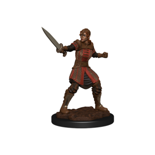 Critical Role Unpainted Miniatures: Human Dwendalian Empire Fighter Female (90386)