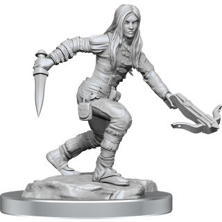 D&D Nolzur's Marvelous Miniatures: Half-Elf Rogue Female (90485)