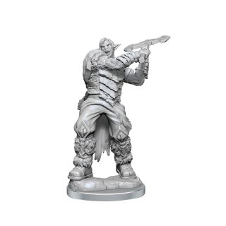 Critical Role Unpainted Miniatures: Ashari Stoneguard & Ashari Skydancer (90631)