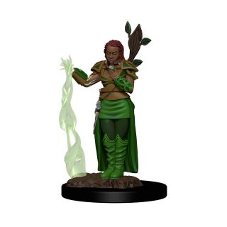 D&D Icons of the Realms Premium Figures: Human Female Druid (93009)