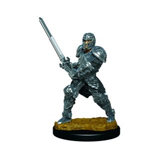 D&D Icons of the Realms Premium Figures: Male Human Fighter (93017)