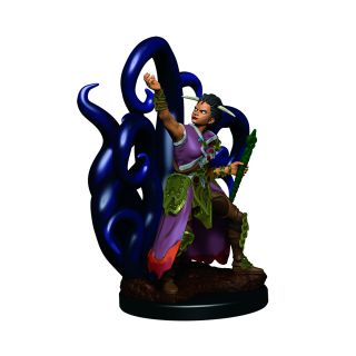 D&D Icons of the Realms Premium Figures: Female Human Warlock (93018)