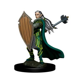 D&D Icons of the Realms: Premium Painted Figure - Elf Paladin Female (93025)