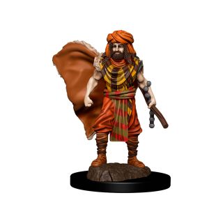 D&D Icons of the Realms: Premium Painted Figure - Human Druid Male (93031)