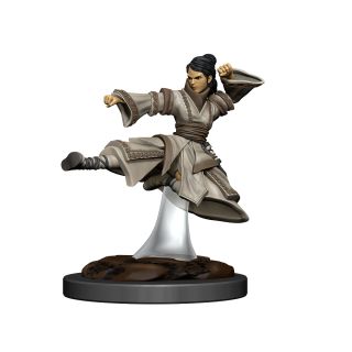 D&D Icons of the Realms Premium Figures: Human Monk Female (93044)