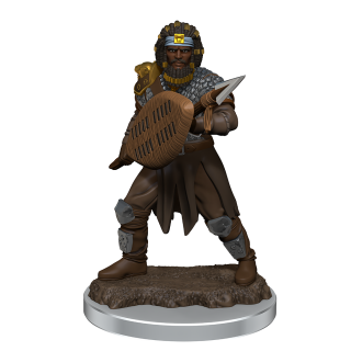 D&D Icons of the Realms Premium Figures: Male Human Fighter (93059)
