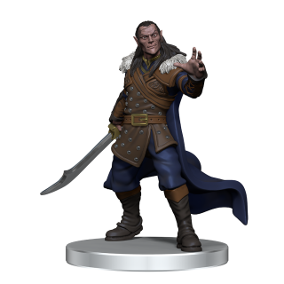 D&D Icons of the Realms: Curse of Strahd - Denizens of Castle Ravenloft (96108)