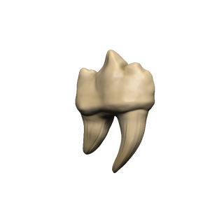 Dungeons & Dragons: Teeth of Dahlver-Nar Bite-Sized Artifact (96122)