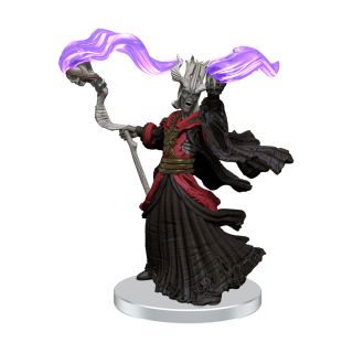 D&D Icons of the Realms: Tomb of Annihilation – Box 1 (96150)