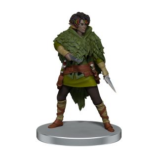 D&D Icons of the Realms: Dragonlance - Warrior Set ** Special Offer **
