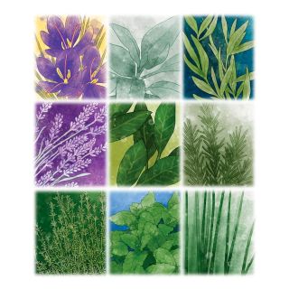 Herbaceas